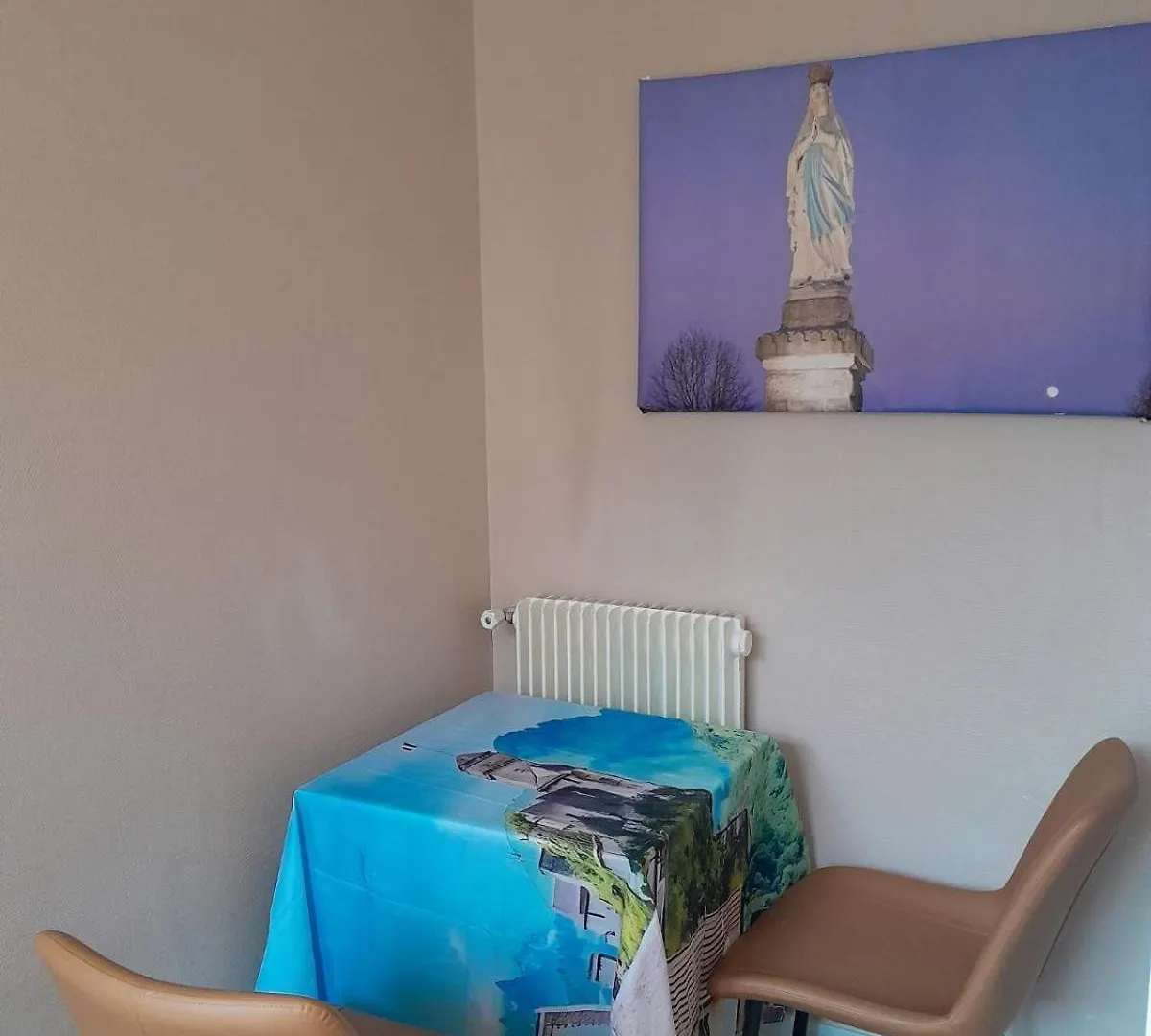 Vue De Reve Chambre Dans Appartement De Standing - Vous Faites Le Menage-Very Good Prices But You Have To Cle-An Th-E Flat Lourdes