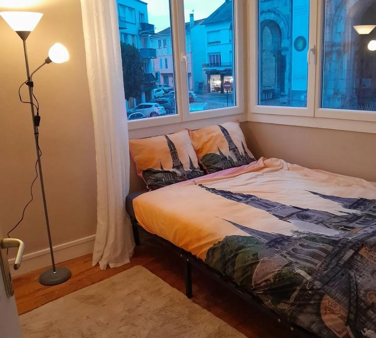 Vue De Reve Chambre Dans Appartement De Standing - Vous Faites Le Menage-Very Good Prices But You Have To Cle-An Th-E Flat Lourdes