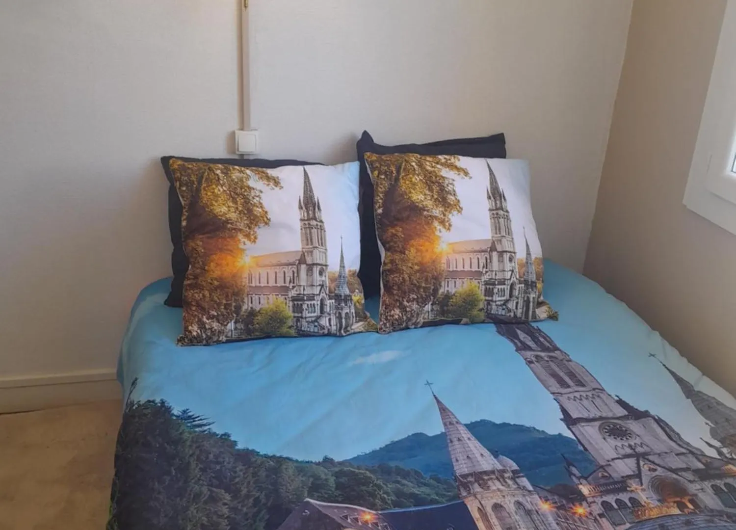 Vue De Reve Chambre Dans Appartement De Standing - Vous Faites Le Menage-Very Good Prices But You Have To Cle-An Th-E Flat Lourdes